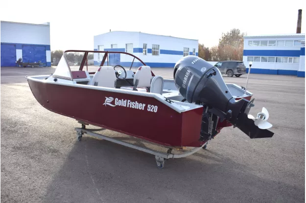 2 - Gold Fisher 520 DCM FISH 