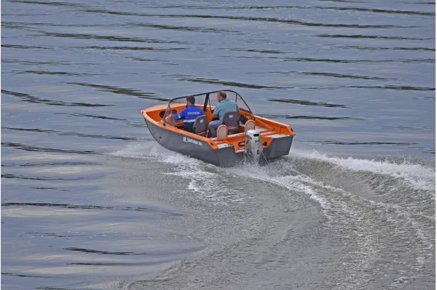 4 -  Gold Fisher 500 DCM FISH 