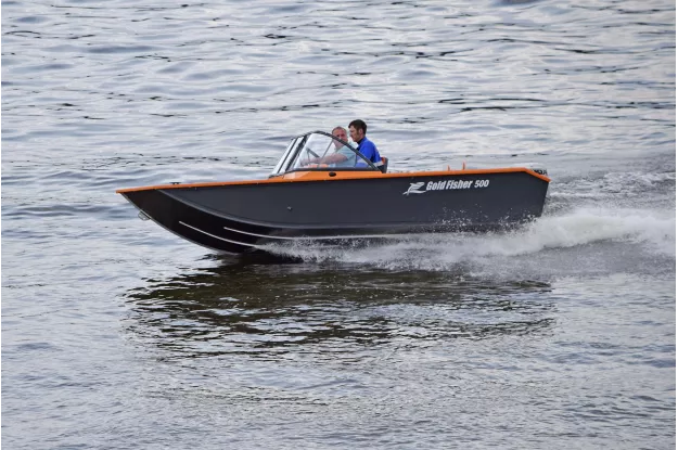 20 -  Gold Fisher 500 DCM FISH 
